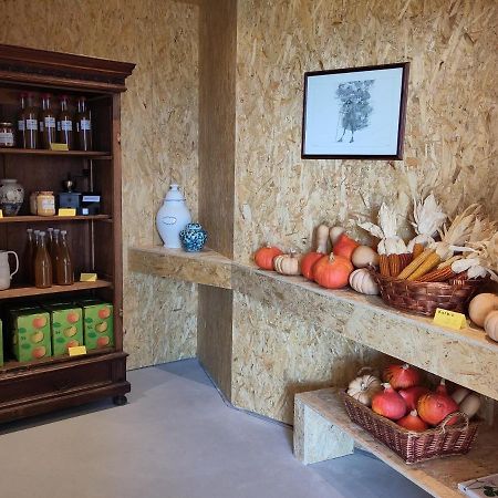 Apartment Das Runde Tscherms Zewnętrze zdjęcie